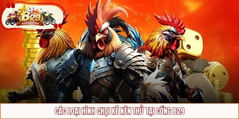 Các loại hình chọi kê nên thử tại cổng B29