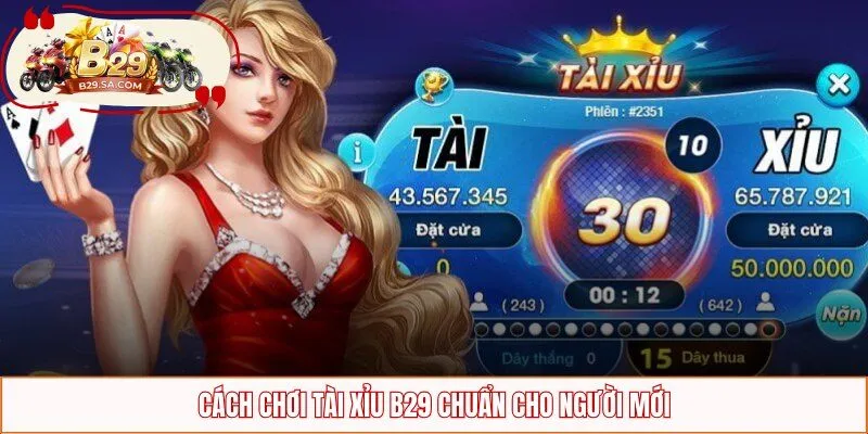 Cách chơi tài xỉu B29 chuẩn cho người mới