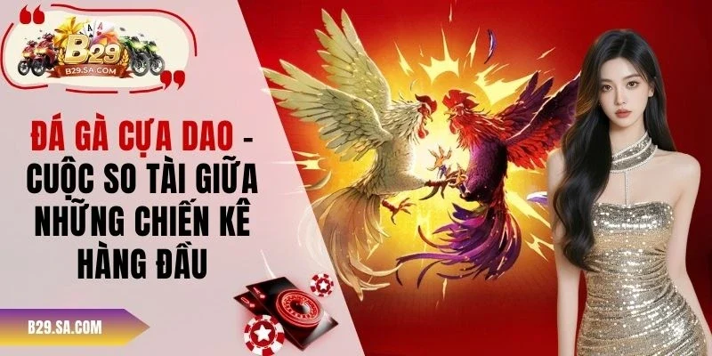 đá gà cựa dao