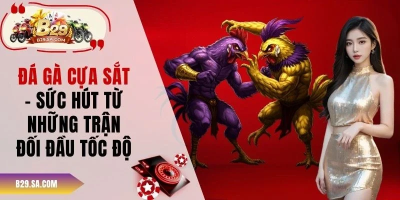 Đá gà cựa sắt