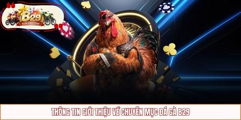 Thông tin giới thiệu về chuyên mục đá gà B29