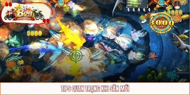 Tips quan trọng khi săn mồi